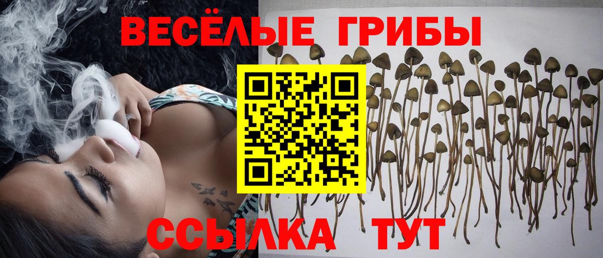 Галлюциногенные грибы мицелий Урус-Мартан