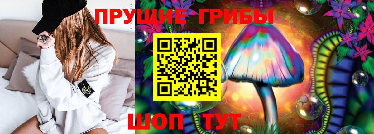 Урус-Мартан  Псилоцибиновые грибы Cubensis  Вход с VPN  Псилоцибиновые грибы прущие грибы 